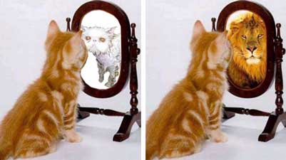 perceptions - domestic cat looks in mirror and sees lion