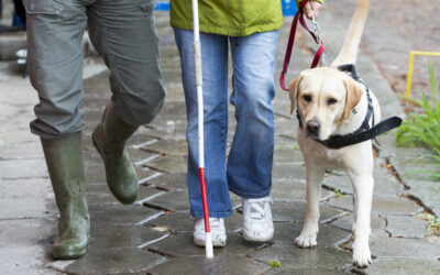 ‘They’re everywhere’: Why touchscreens are causing huge accessibility problems for blind people